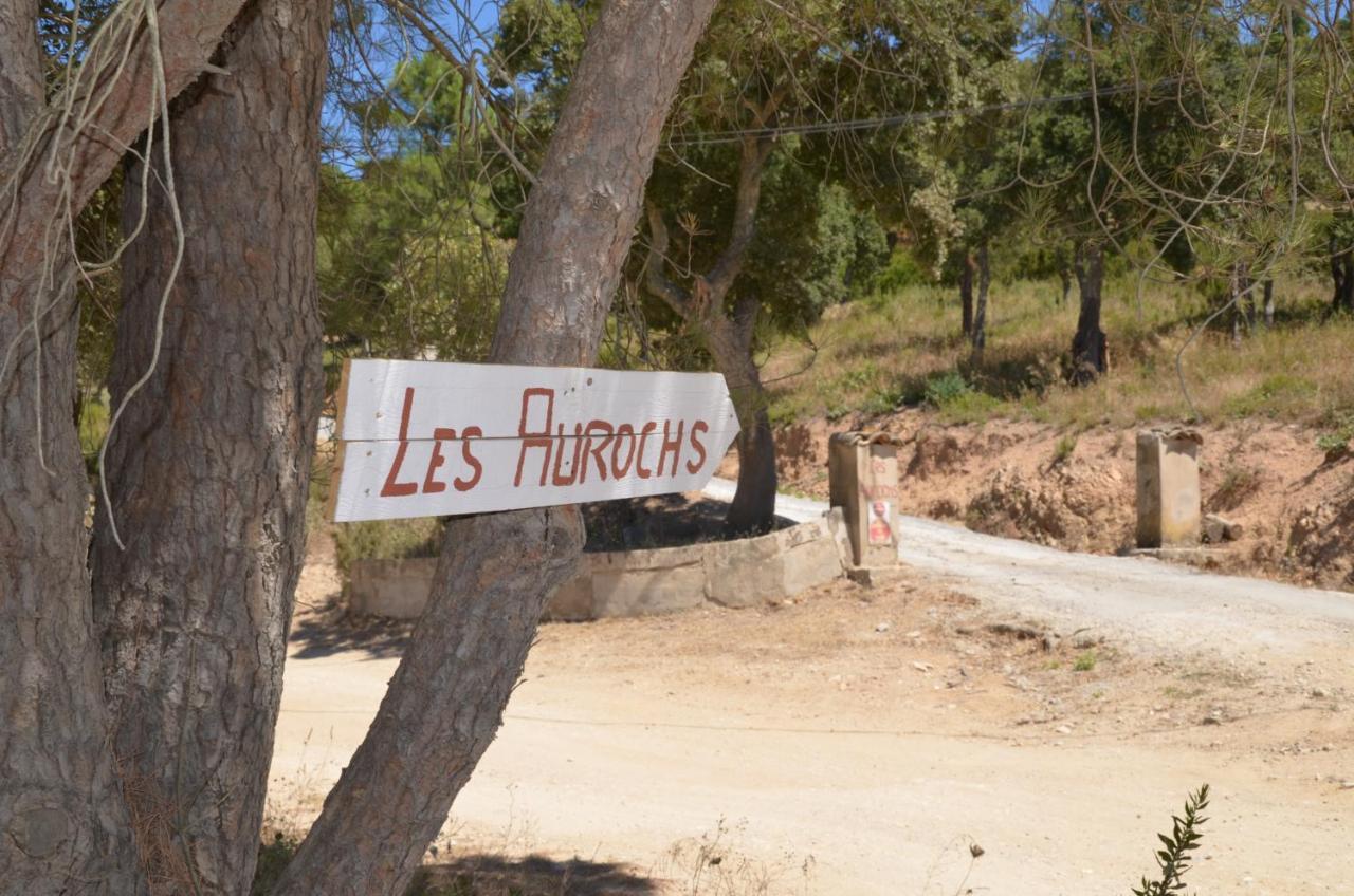 Bed and Breakfast Les Aurochs Grimaud Exteriér fotografie